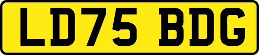 LD75BDG