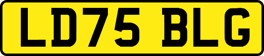 LD75BLG