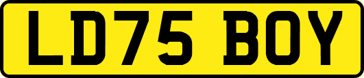 LD75BOY