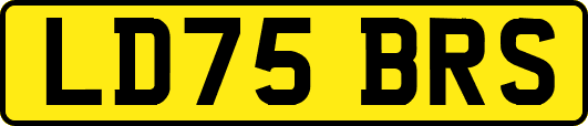 LD75BRS