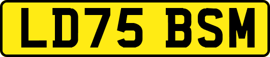 LD75BSM