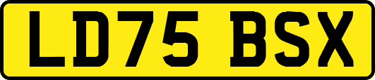 LD75BSX