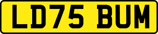 LD75BUM