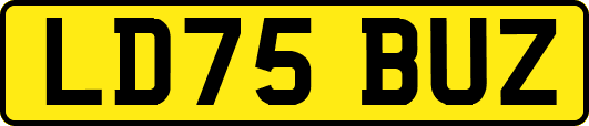LD75BUZ