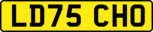 LD75CHO