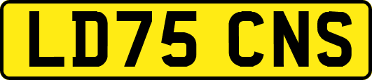 LD75CNS