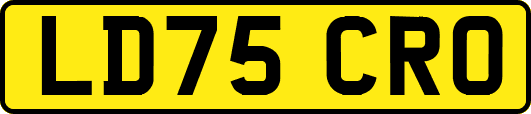 LD75CRO