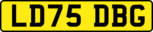 LD75DBG