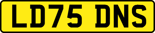 LD75DNS