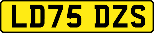 LD75DZS