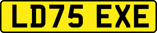 LD75EXE