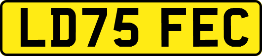 LD75FEC