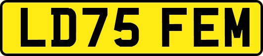 LD75FEM