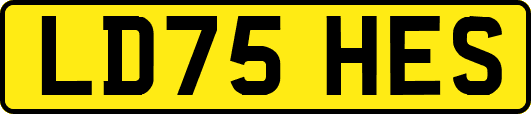 LD75HES