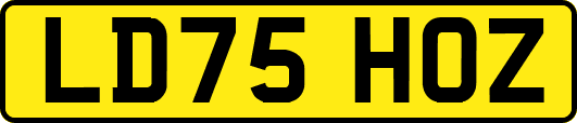 LD75HOZ