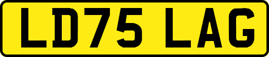 LD75LAG