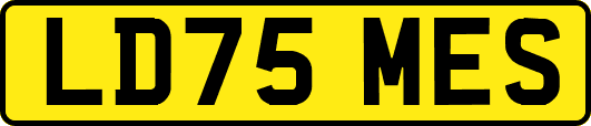 LD75MES