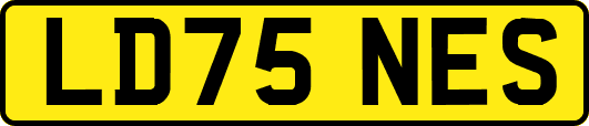 LD75NES