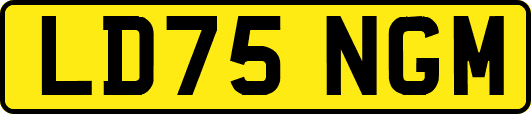 LD75NGM
