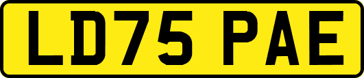 LD75PAE