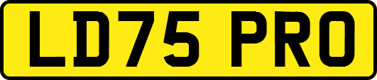 LD75PRO