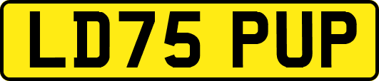 LD75PUP
