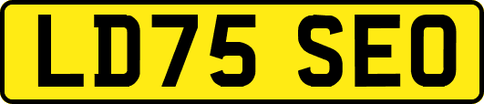 LD75SEO