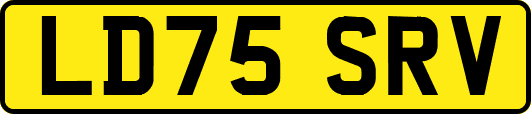 LD75SRV
