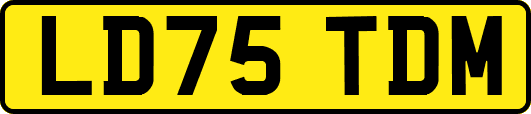 LD75TDM