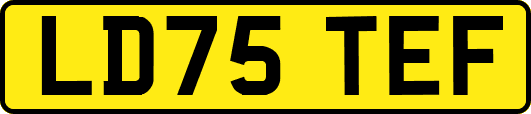 LD75TEF