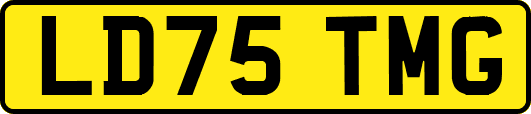 LD75TMG