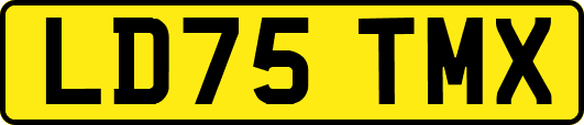 LD75TMX
