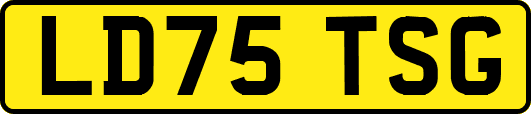 LD75TSG