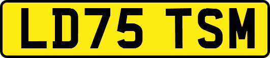 LD75TSM