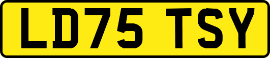 LD75TSY