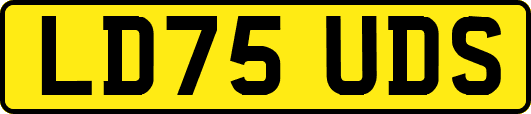 LD75UDS