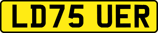 LD75UER