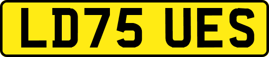 LD75UES
