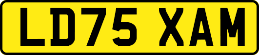 LD75XAM