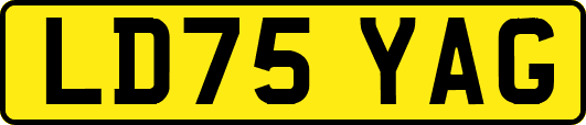 LD75YAG