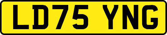 LD75YNG