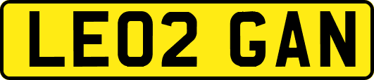 LE02GAN