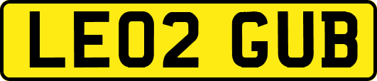 LE02GUB