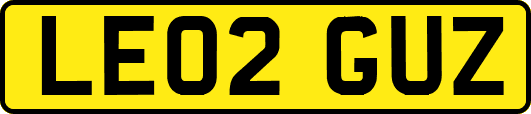 LE02GUZ