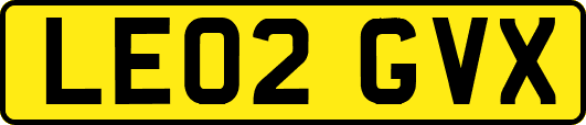 LE02GVX
