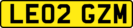 LE02GZM