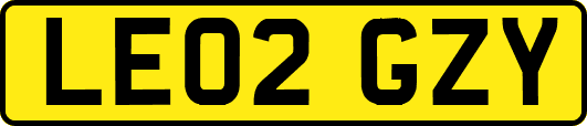 LE02GZY