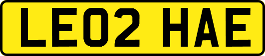 LE02HAE