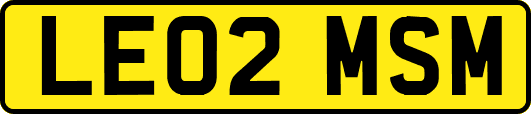 LE02MSM