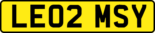 LE02MSY